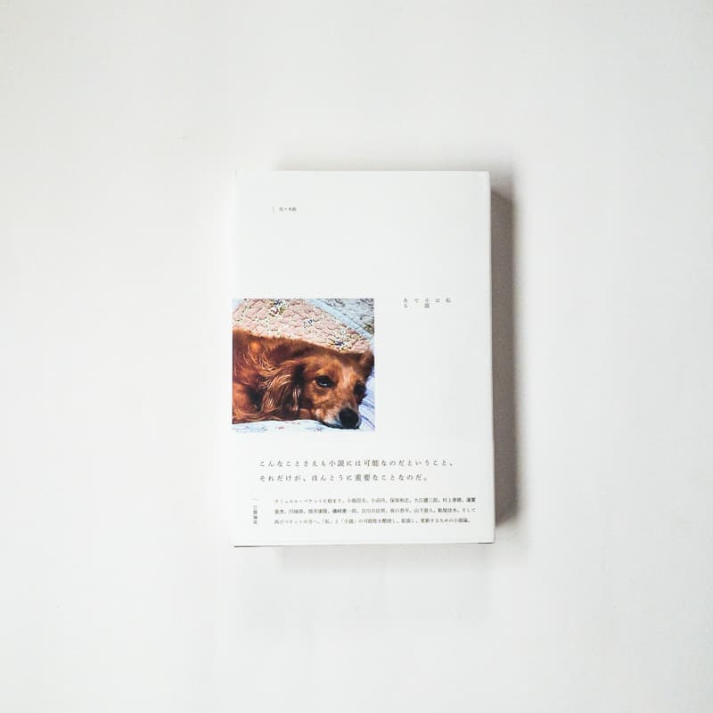 APC_0309.jpg