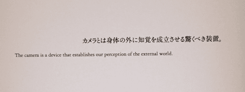 商品なので撮影禁止